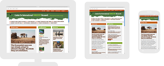 CIFOR responsive layouts